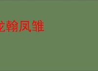 龙翰凤雏