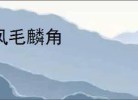 凤毛麟角