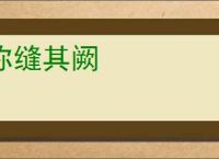 弥缝其阙
