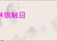 琳琅触目