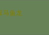 雀马鱼龙