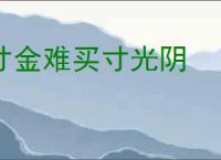寸金难买寸光阴