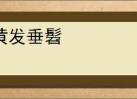 黄发垂髫