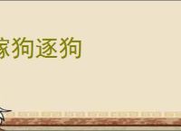 嫁狗逐狗