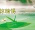 魂惊魄惕