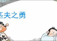 匹夫之勇