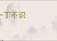 一丁不识
