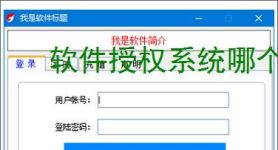 软件授权系统哪个好
