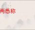 铢两悉称