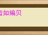 齿如编贝
