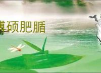 博硕肥腯