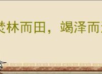 焚林而田，竭泽而渔