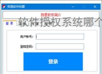 软件授权系统哪个好？2025年主流方案对比