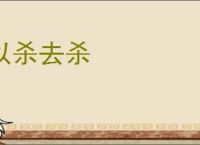 以杀去杀