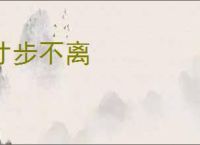 寸步不离