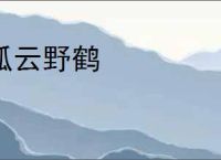 孤云野鹤