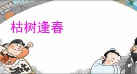 枯树逢春