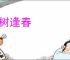 枯树逢春