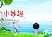 个中妙趣