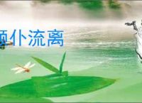颠仆流离