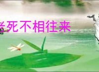 老死不相往来