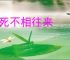 老死不相往来