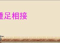踵足相接