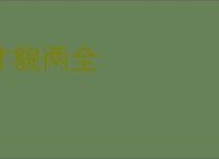 才貌两全