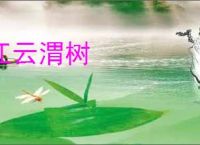 江云渭树