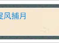 捉风捕月