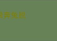 狼奔兔脱