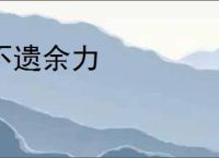 不遗余力
