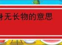 身无长物的意思