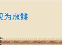 视为寇雠