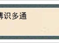 博识多通