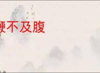 鞭不及腹