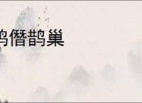 鸠僭鹊巢