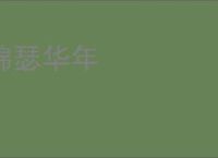 锦瑟华年