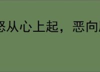 怒从心上起，恶向胆边生