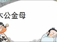 木公金母