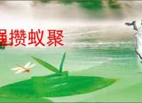 蝇攒蚁聚