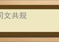 同文共规