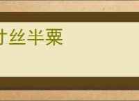 寸丝半粟