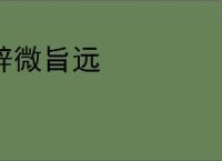 辞微旨远