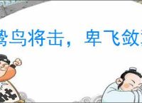 鸷鸟将击，卑飞敛翼