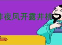 昨夜风开露井桃