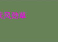 疾风劲草