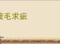 披毛求疵