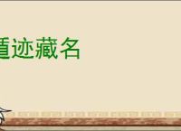 遁迹藏名