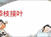 添枝接叶